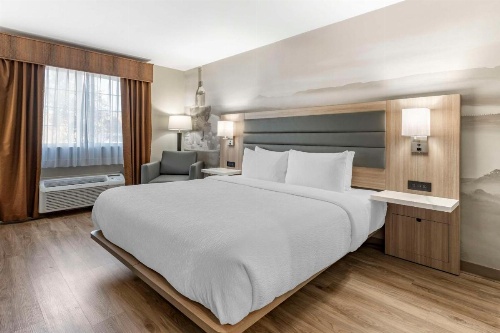 Best Western Plus Vineyard Inn image 36