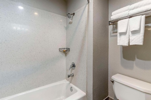 Best Western Plus Vineyard Inn image 45